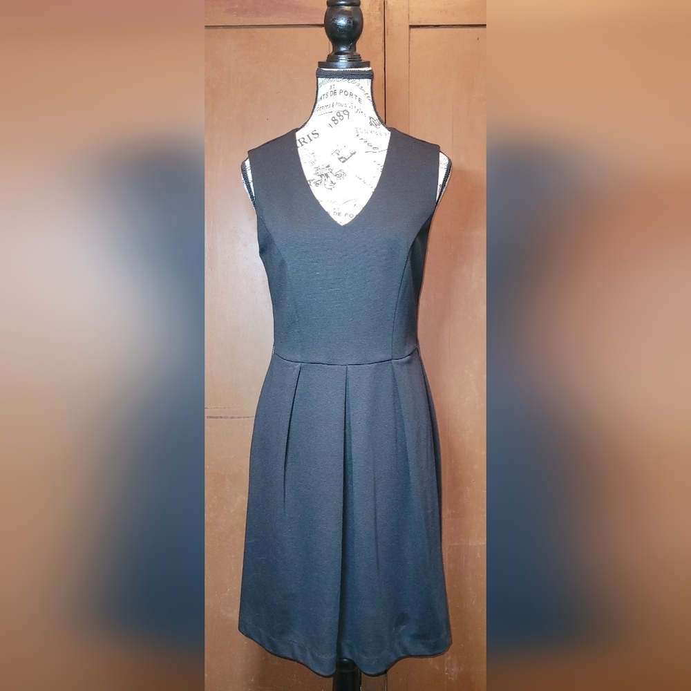 Banana Republic Women's Sz‎ 6 Black Dress Sleeveless Sheath Career Front Pleats